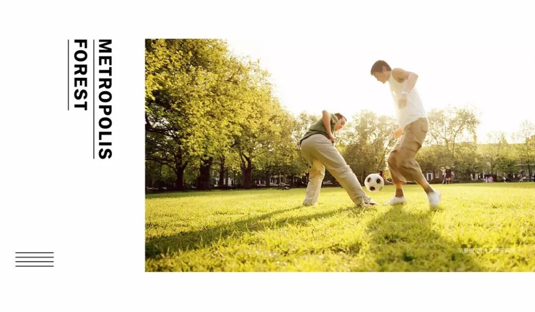 到森林去，生活原来美成这样……