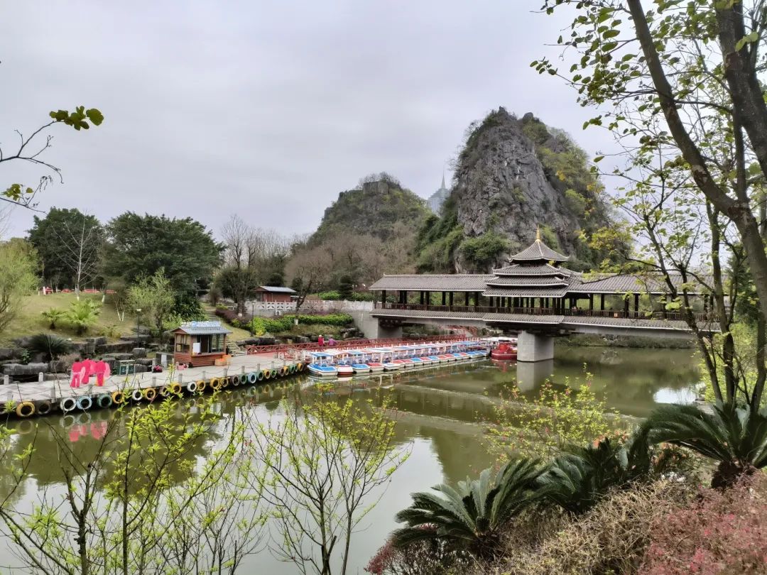 临桂山水公园:春花烂漫迎客来