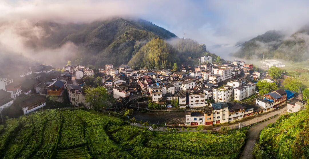 部门动态_桂林市临桂区人民政府门户网站 www.lingui.gov.cn