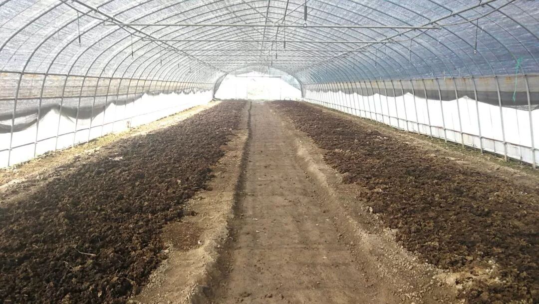 青浦区推进设施菜田土壤保育和改良工作 通过蚯蚓养殖和施用微生物菌肥改善菜田土壤 青浦三农 微信公众号文章阅读 Wemp