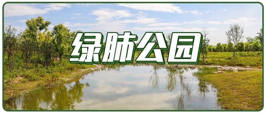比奥森大6倍！朝阳新晋“绿肺公园”，景美人少，堪称洗肺天堂！关键还免费！