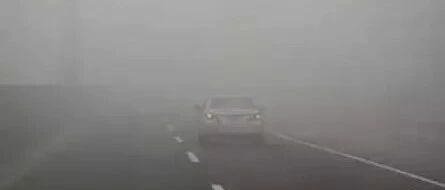 天冷了，开车时千万警惕这个“不速之客”！