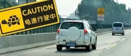 开车就该“慢一点”？当心费油又危险！