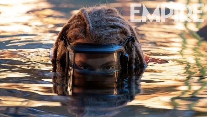 来了来了！《阿凡达2》终于定档了！