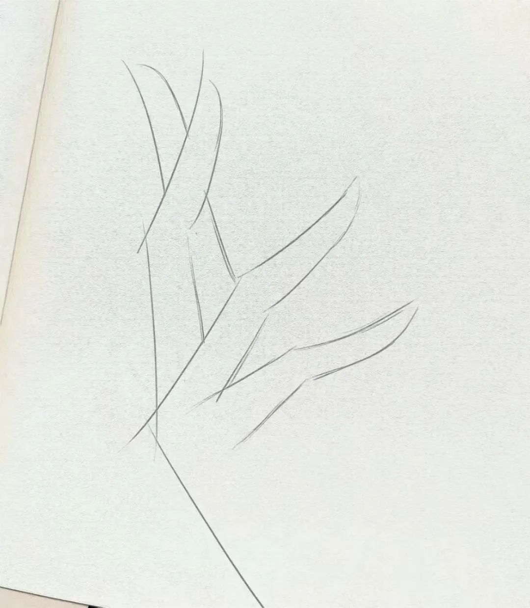手指头怎么画
