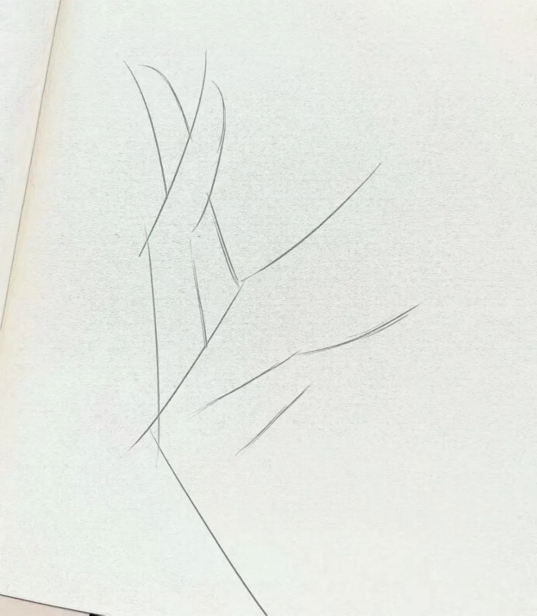 手指头怎么画