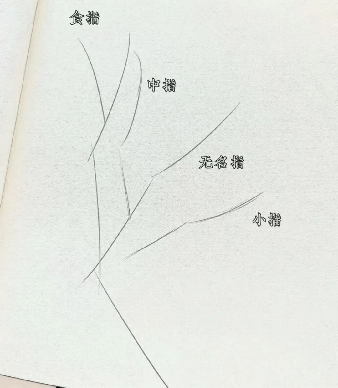 手指头怎么画