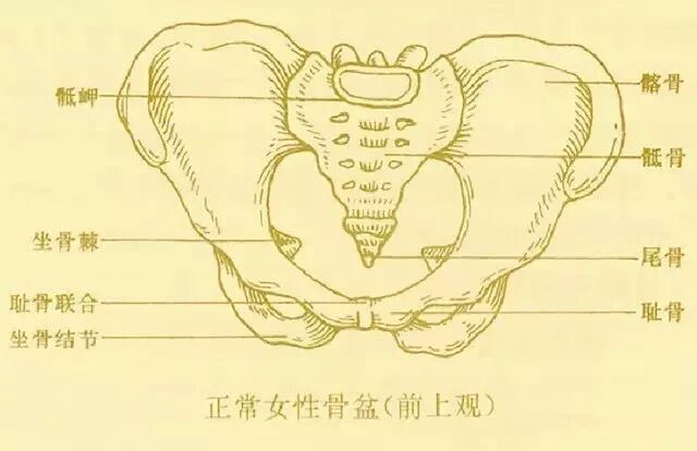 为什么产后妈妈一定要做骨盆恢复？