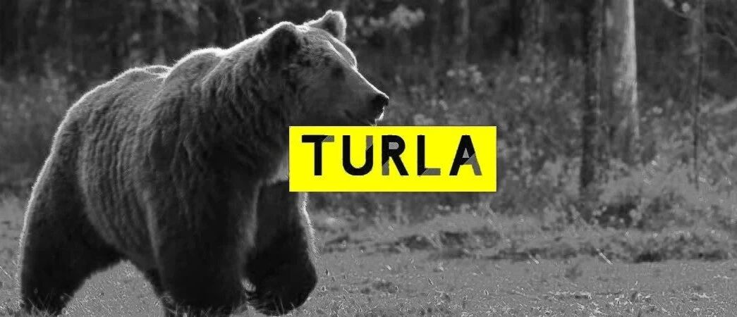 外交部计算机被植入后门，俄罗斯APT长达5年的 "Crutch"行动揭秘