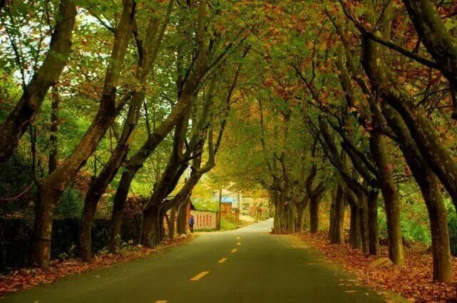 关闭破产后的江油八五七厂满满的回忆