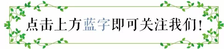 什么是脂溢性脱发？应该如何治疗？