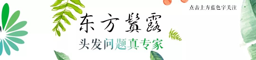 好男人就是我放言发际线上移100多米