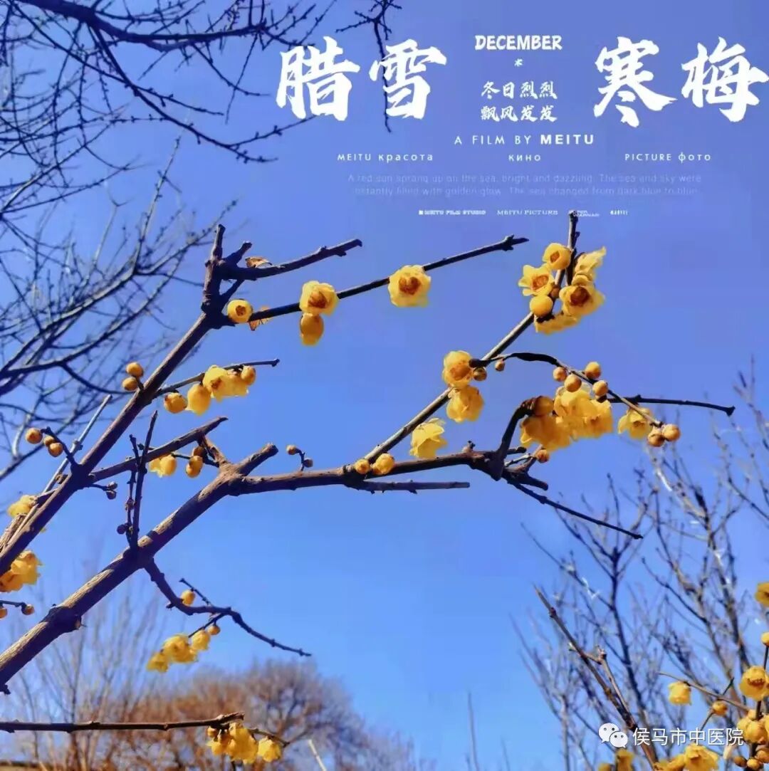  侯马市中医院首届“赏梅周”活动圆满结束！(图17)