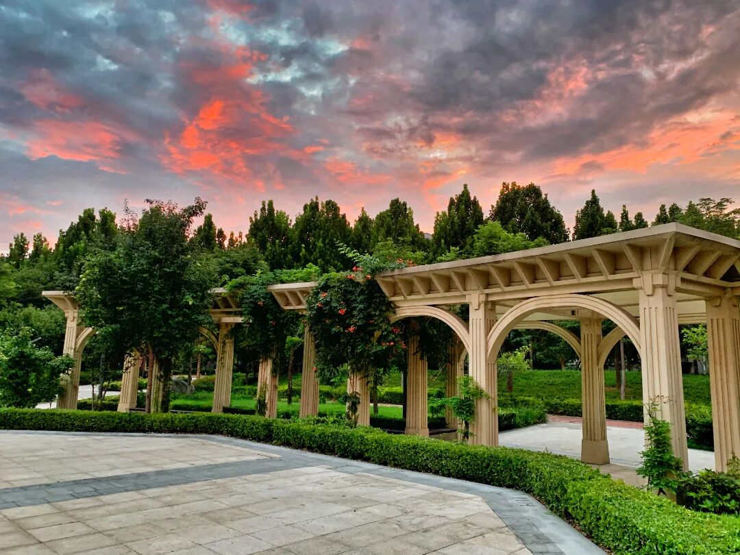 王望《寄情财大》 (1).JPEG