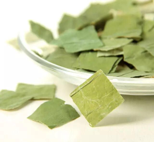 中药百科——荷叶