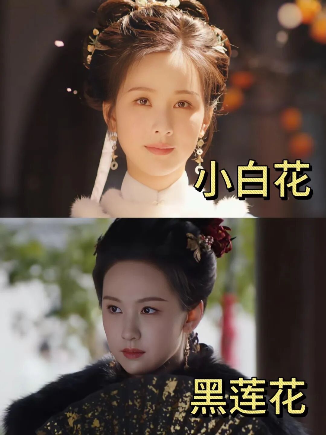 曝高学历小花是木头美人