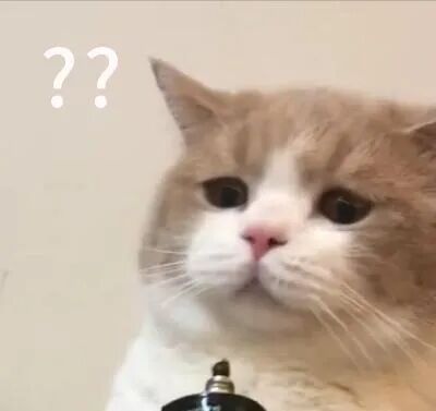 标本转运箱怎么消毒核酸的检测流程 ｜ 看完终于明白为什么要等那么久了_https://www.jmylbn.com_新闻资讯_第2张