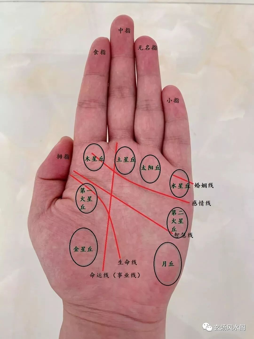 姜群 看手相的小窍门 掌心八大丘 教你如何看手相 玄炀风水阁 微信公众号文章阅读 Wemp