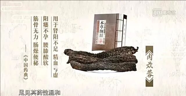 中国药典对肉苁蓉的记载
