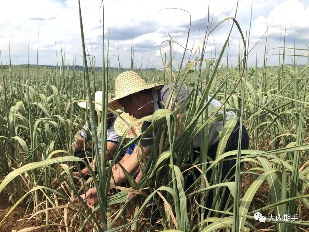 640?wx_fmt=jpeg&tp=webp&wxfrom=5&wx_lazy=1&wx_co=1