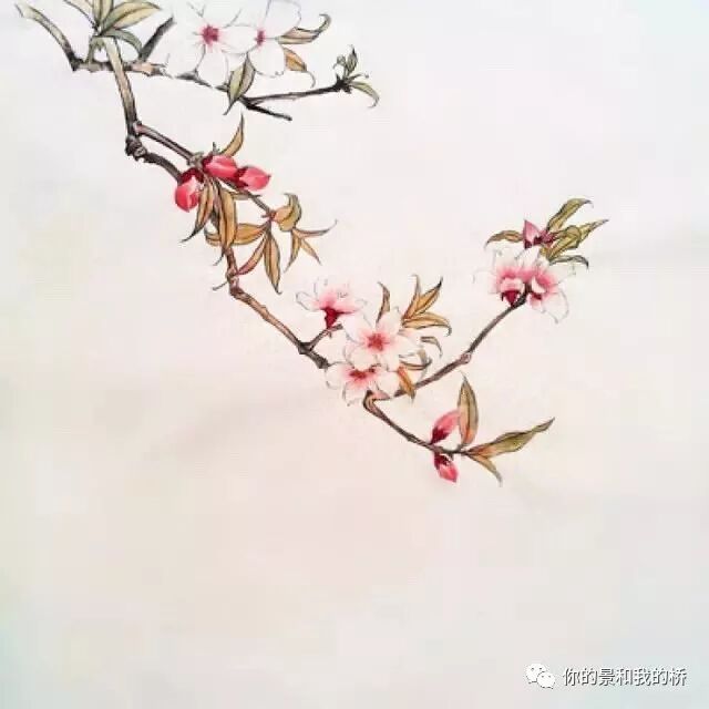 阳历农历转换查询器_阳历农历阴历的区别_阳历和农历