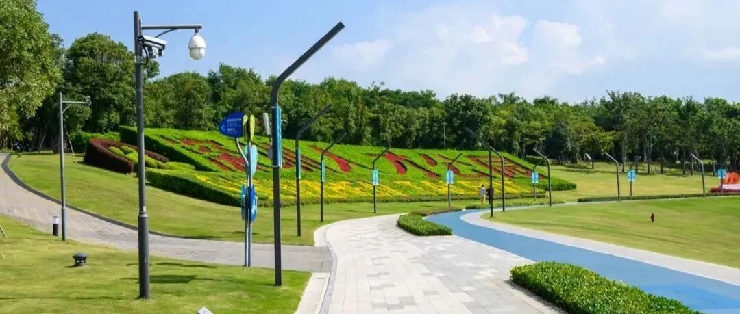 原来深圳“山青水秀天蓝”的秘密藏在这里