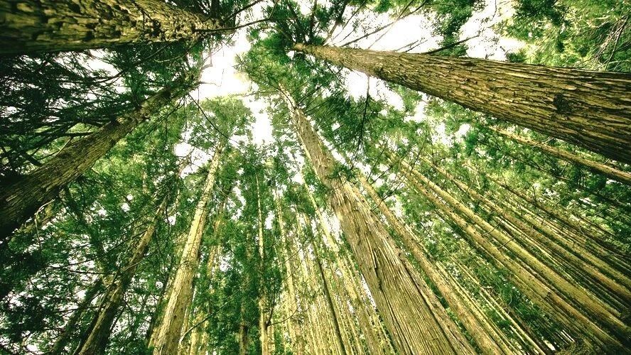 为了生态繁荣，我们一路同行