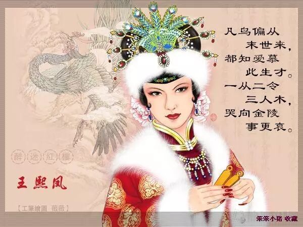 判词"凡鸟偏从末世来".