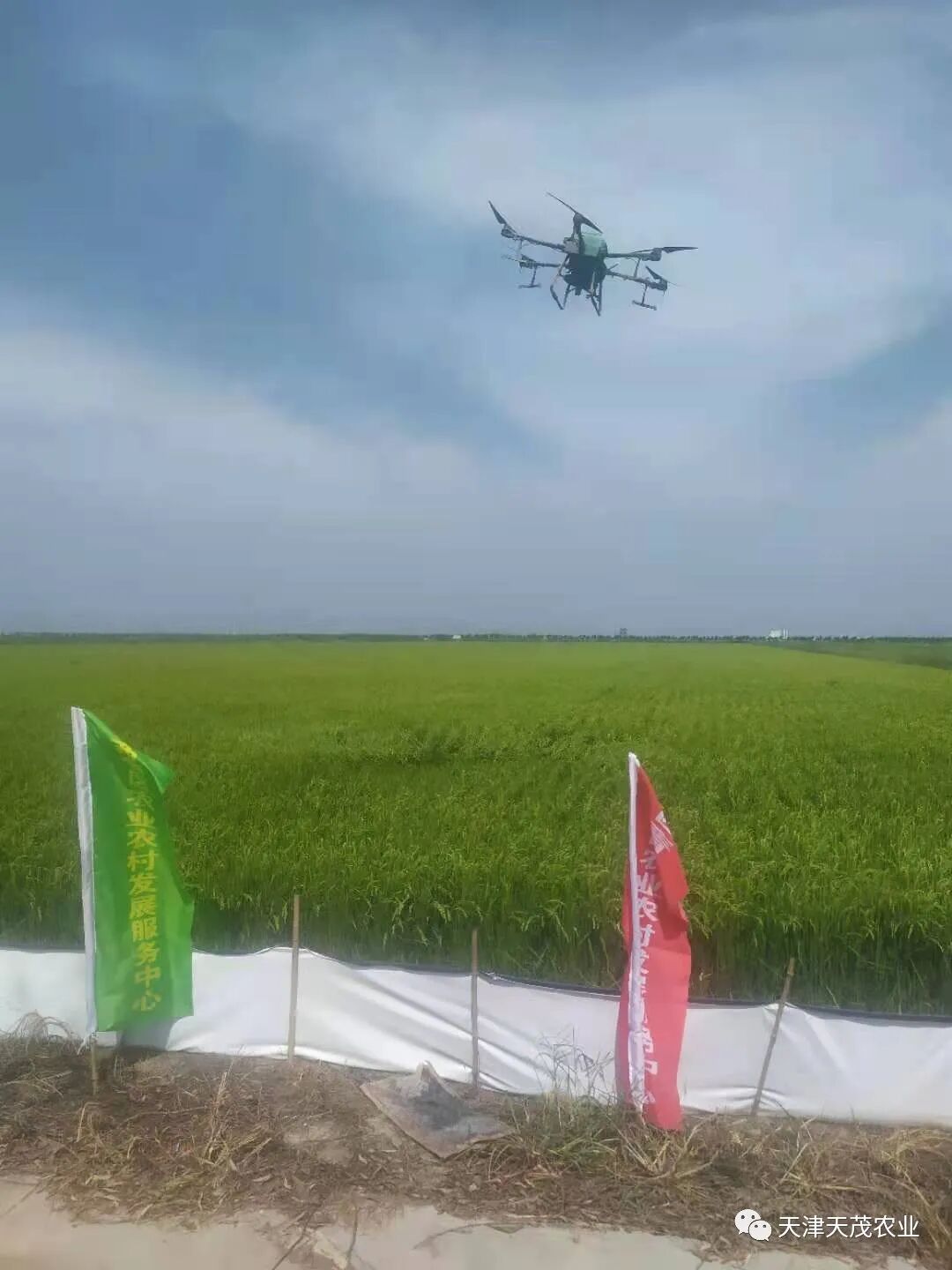 农业无人机技术在国内外的应用现状的图1