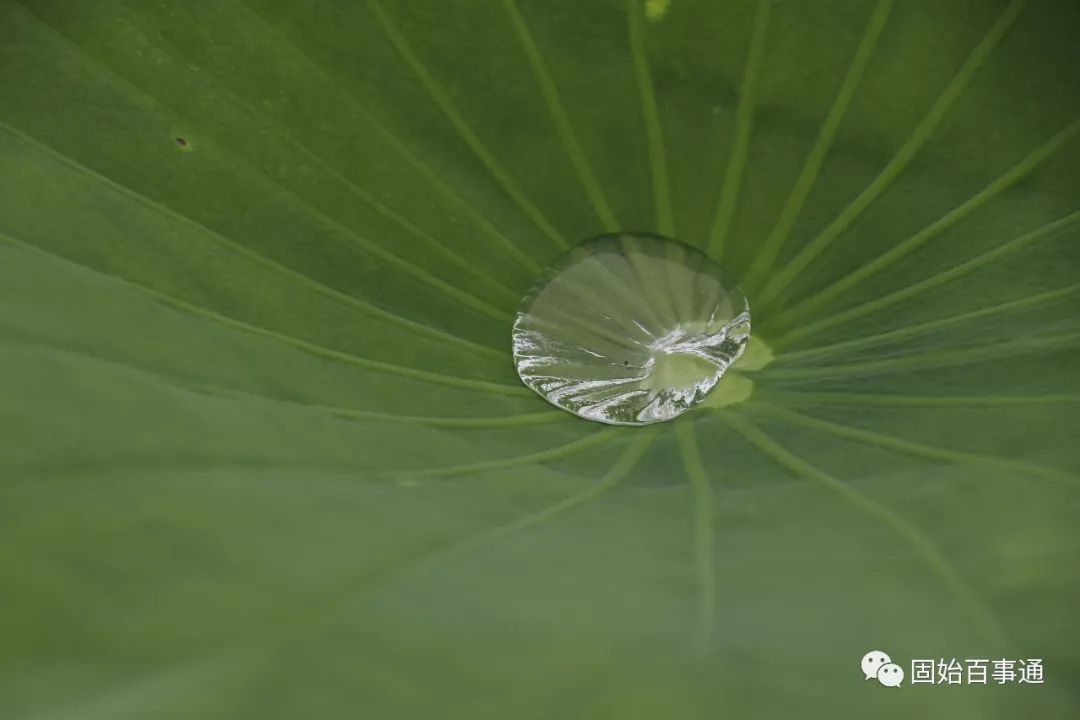 固始一个月天气预报