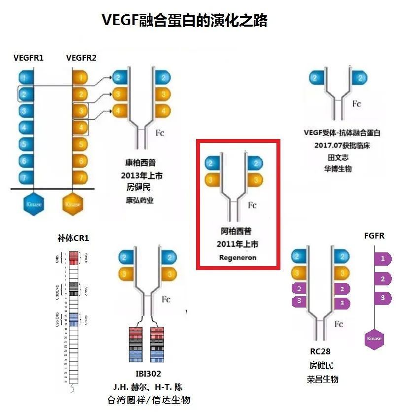 信达生物技术全梳理 佰傲谷biovalley 微信公众号文章阅读 Wemp