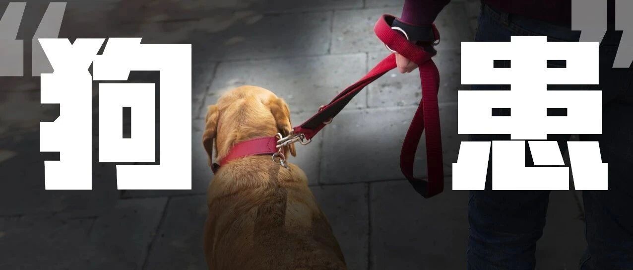 恶狗咬死幼童：这根狗绳咋就拴不紧？