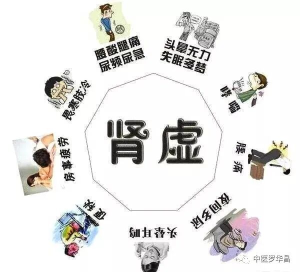 论补肾及锻炼之方法!附《补肾止遗汤》治肾精亏虚者遗精!