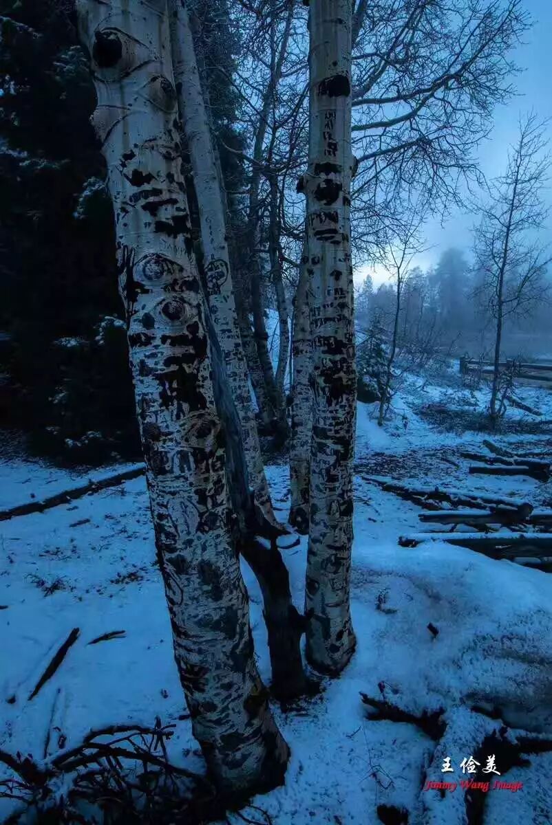 【旅游】青山白浪，万重千叠！布莱斯国家公园纪游 | 美國貝佳天然藥業