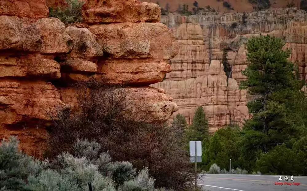 【旅游】青山白浪，万重千叠！布莱斯国家公园纪游 | 美國貝佳天然藥業