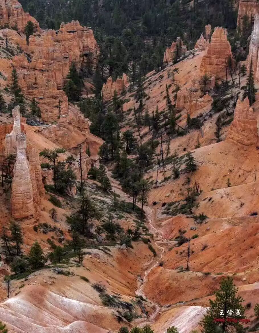 【旅游】青山白浪，万重千叠！布莱斯国家公园纪游 | 美國貝佳天然藥業