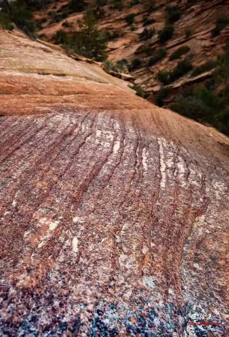 【旅游】青山白浪，万重千叠！布莱斯国家公园纪游 | 美國貝佳天然藥業