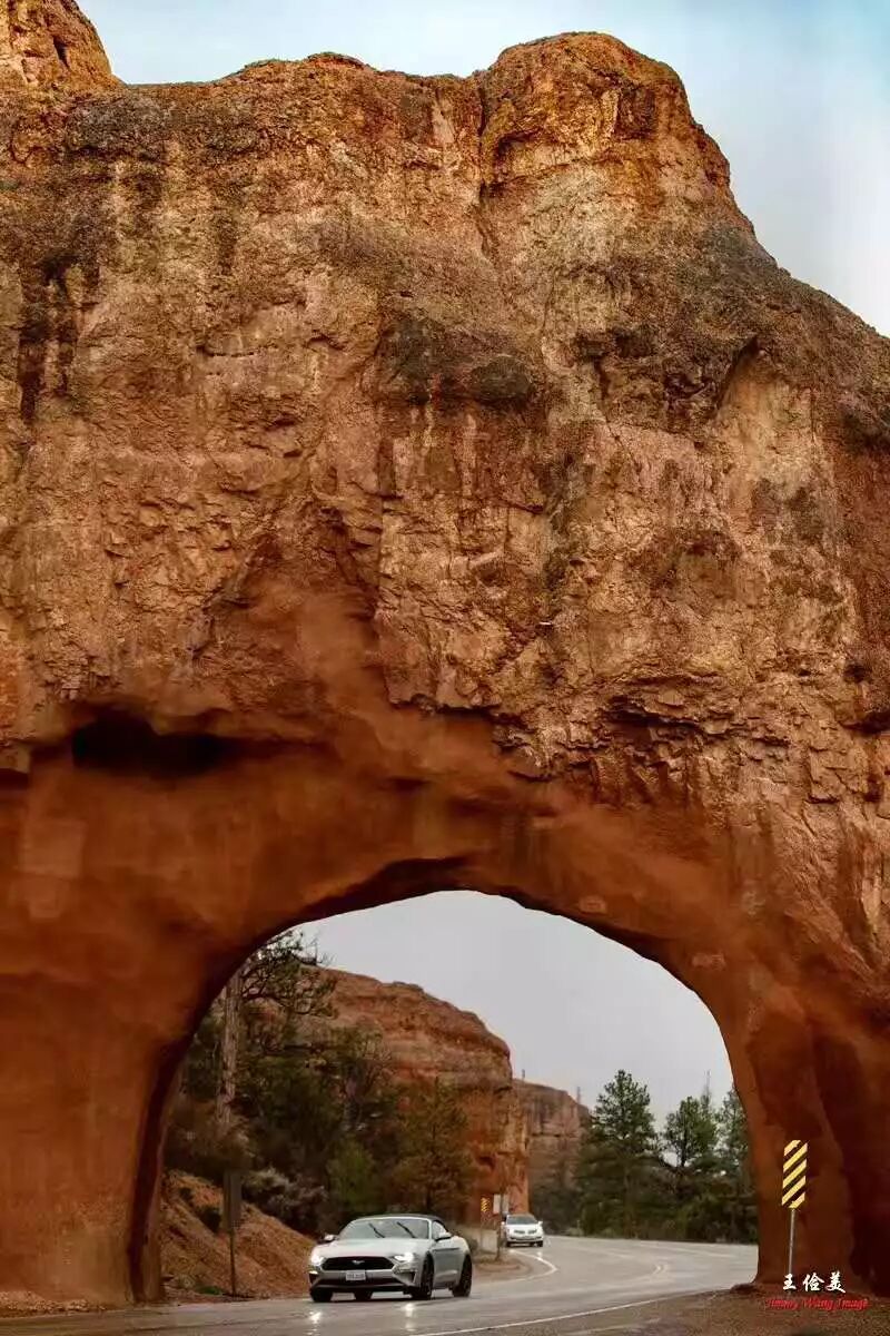 【旅游】青山白浪，万重千叠！布莱斯国家公园纪游 | 美國貝佳天然藥業