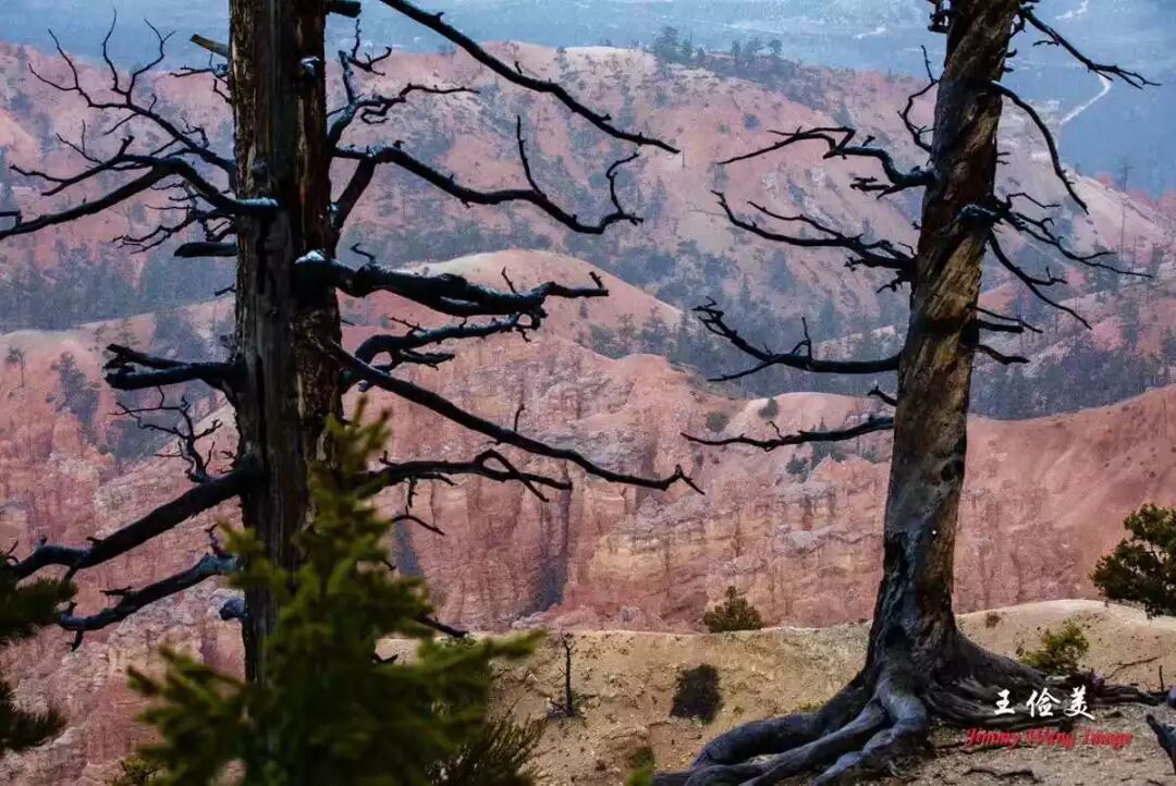 【旅游】青山白浪，万重千叠！布莱斯国家公园纪游 | 美國貝佳天然藥業