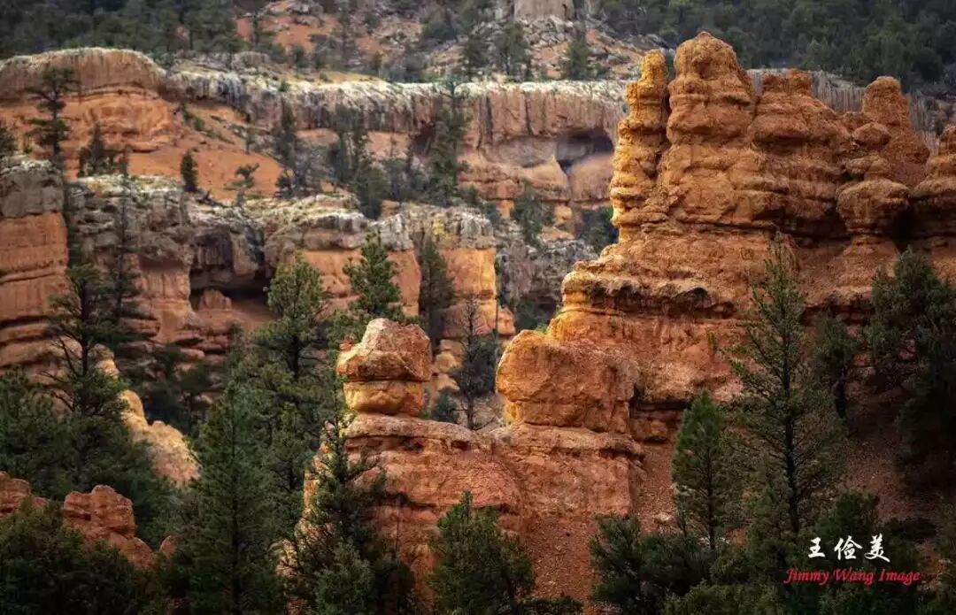 【旅游】青山白浪，万重千叠！布莱斯国家公园纪游 | 美國貝佳天然藥業