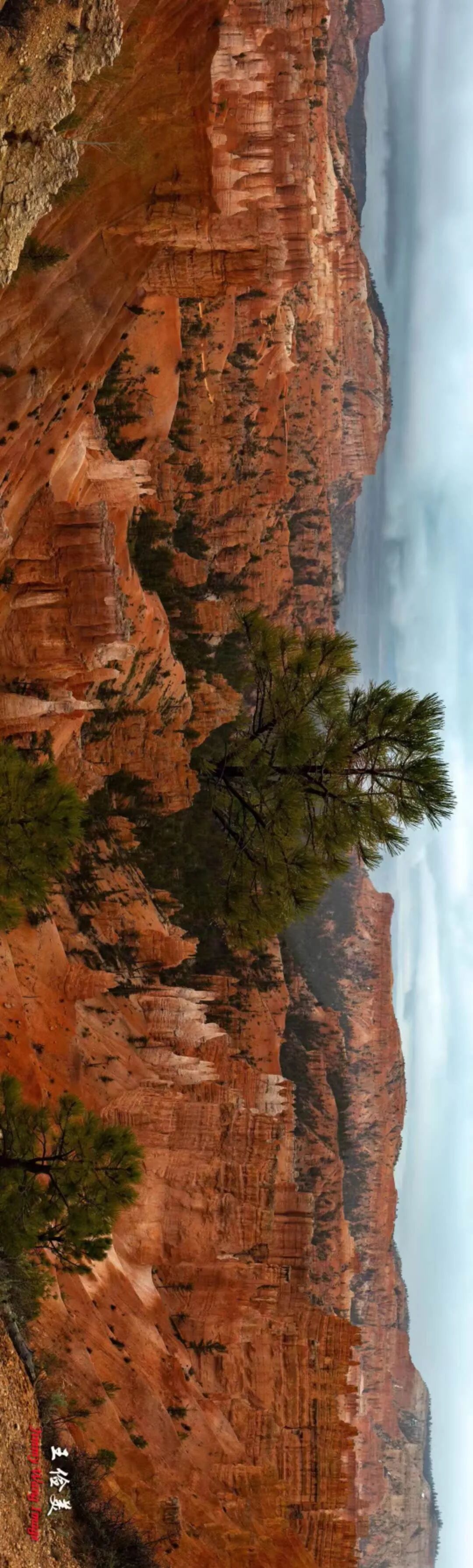 【旅游】青山白浪，万重千叠！布莱斯国家公园纪游 | 美國貝佳天然藥業