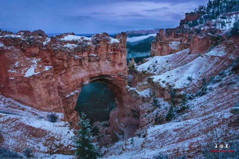 【旅游】青山白浪，万重千叠！布莱斯国家公园纪游 | 美國貝佳天然藥業