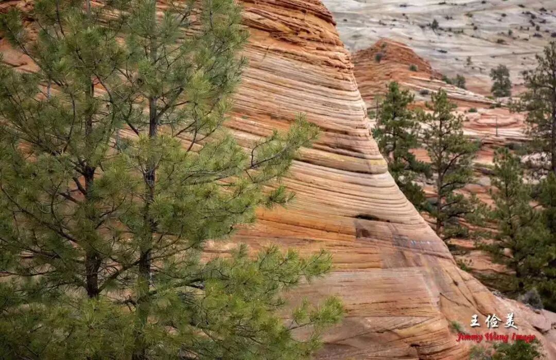 【旅游】青山白浪，万重千叠！布莱斯国家公园纪游 | 美國貝佳天然藥業