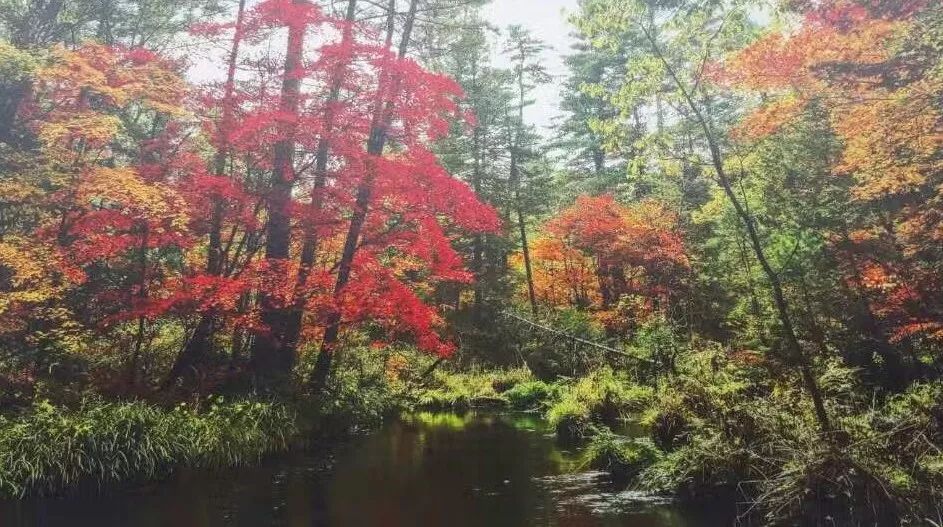 中國私藏的10個國家公園 喜歡拿去！ 旅行 第35張