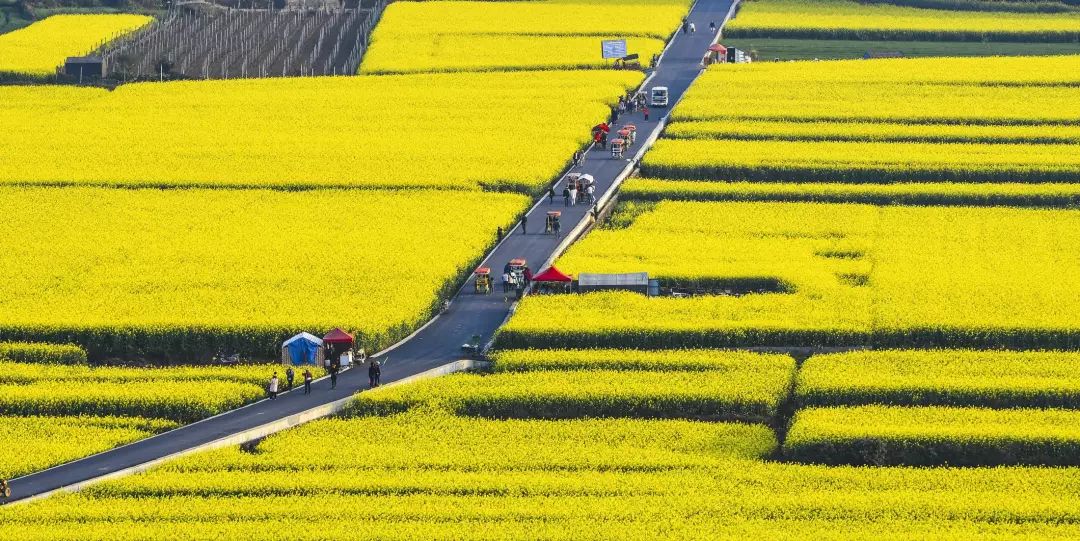 中國最美的幾條自駕路線，此生必走一次 旅遊 第9張