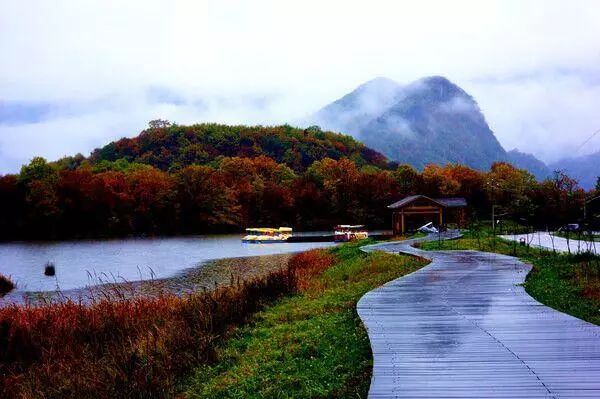 不出國，來這10個純淨之地「洗洗肺」！ 旅遊 第7張