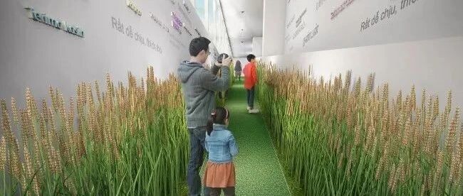 韩国现代农业生物科普教育体验展厅设计