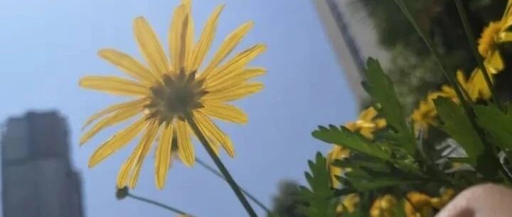 夜思丨985研究生来信：打败了那么多考试，却处理不好这个问题……