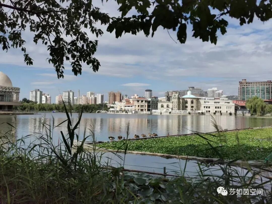 常见治疗类风湿关节炎的药物组合方案