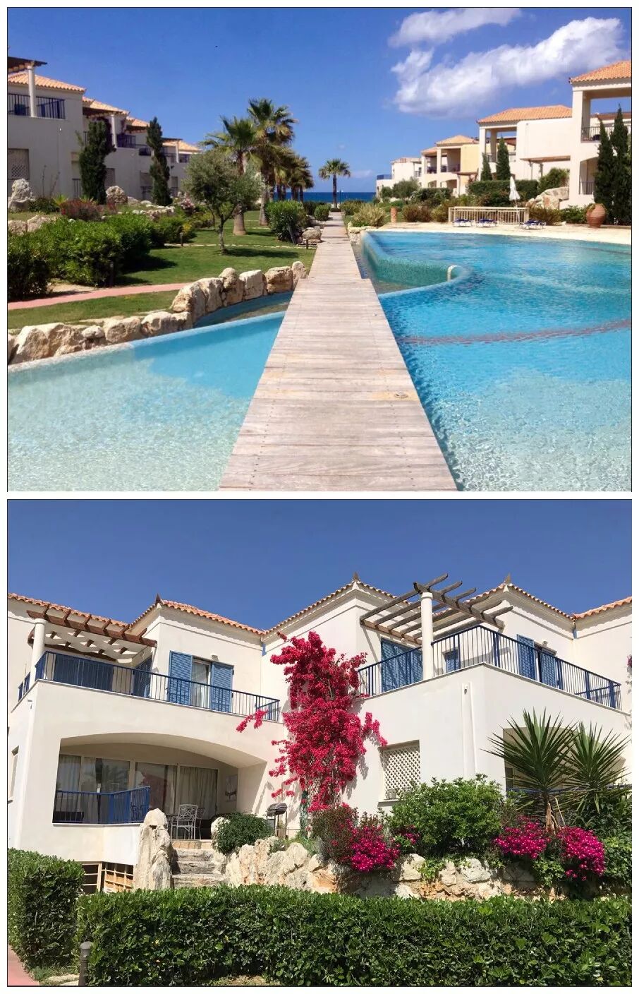 真没想到（房地产展会房博会2019）海外房产交易会，(图6)